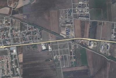 Teren de 5000 mp, în Săcălaz - 2