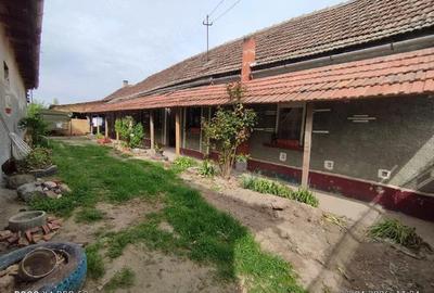 Casă cu 4 camere cu Teren 533 Mp în Sânmartin - 6