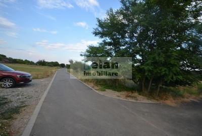Snagov Ciofliceni - Teren 6153mp, D 25 M, Toate Utilitatile, Asfalt - 3