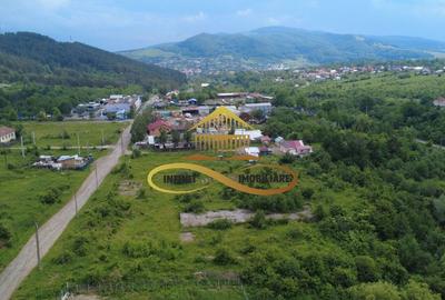 Teren pentru constructie hala indrustriala - Moinesti/Bacau - 3