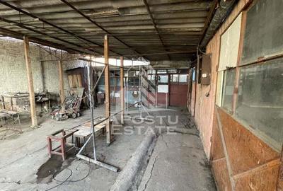 Casa Freidorf - Dambovita langa Alfa - 4