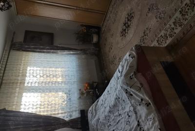 Casă cu 3 camere cu Teren 5700 Mp în Viile Satu Mare - 1
