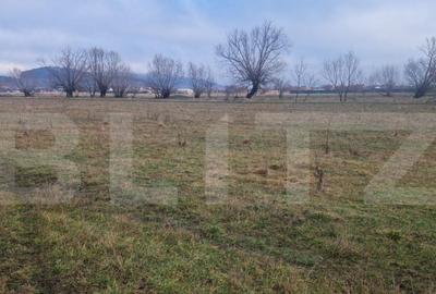 Teren intravilan Sanpetru - ideal c-tie casa- 500 mp - 5