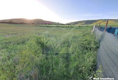 Teren agricol extravilan de 2900 mp, în Florești - 6