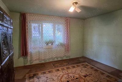 Vanzare apartament 2 camere in Piata Armatei - 4