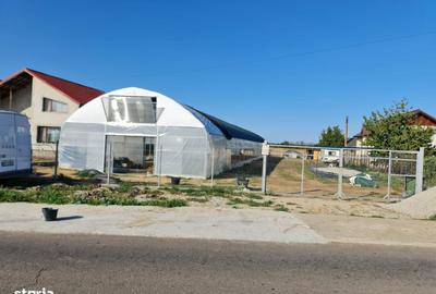 Spațiu comercial, de 3,200 mp, în Grădinari - 6