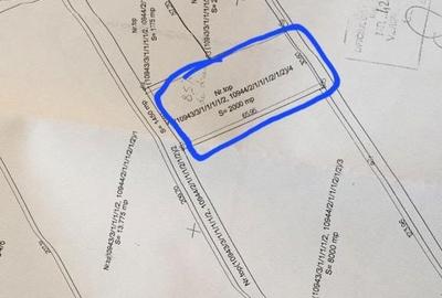Spațiu comercial, în Hălchiu - 2
