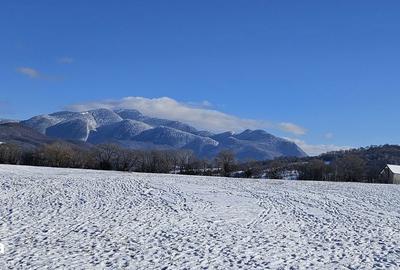 Teren de 5000 mp, în Pănicel - 3