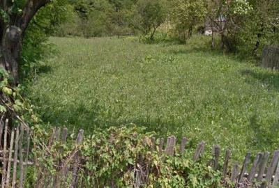 Teren de 4160 mp, în Provița de Sus - 1