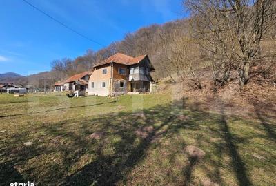 Spațiu comercial, în Almașu Mare - 4