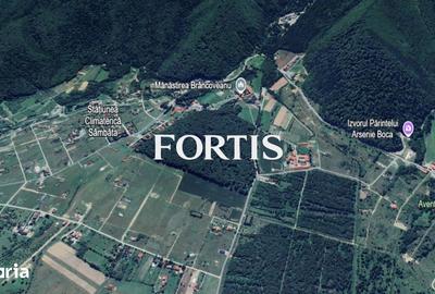 Teren de 9038 mp, în Sâmbăta de Sus - 1