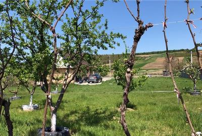 Spațiu comercial, de 100 mp, în Plopana - 2