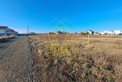 4 parcele de 701-756mp, casa individuala | Utilitati | Dumbravita 4 parcele de 701-756mp, casa individuala | Utilitati | Dumbravita - 3