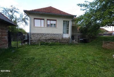 Casă cu 4 camere cu Teren 3030 Mp în Vale - 3