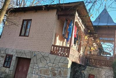 Vand casa la curte - 5