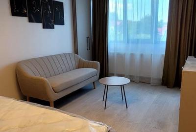 Apartament cu 1 camera Visan - 3