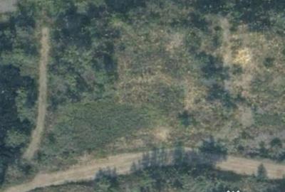 Teren de 6200 mp, în Tăuții-Măgherăuș