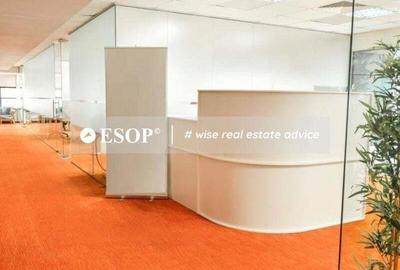 Spațiu comercial, de 258 mp, în Romană