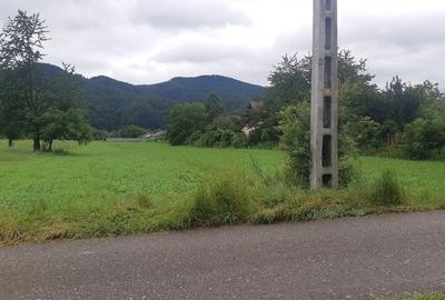 Teren Construcții intravilan de 5422 mp, în Viișoara - 1