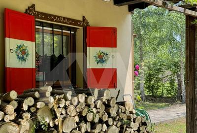 Cabana rustica de vis pe Valea Avrigului – un colt de rai in mijlocul naturii - 6