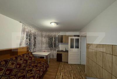 Casa cu 4 camere, 117 mp, teren generos de 5594 mp, in Crisc - 11