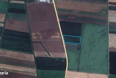 Teren de 14450 mp, în Feldioara - 5