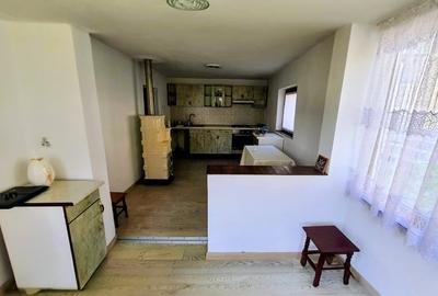 Proprietate 1780m2 cu 2 case - 10