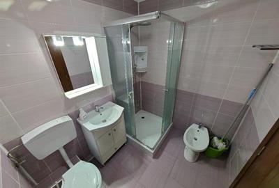 Inchiriem Apartament 2 Camere, Mobilat, Decomandat, Scriitorilor - 17