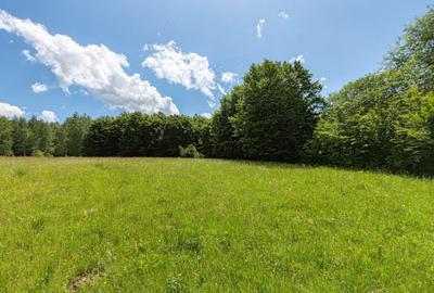 2,2 HA TEREN EXTRAVILAN FANEATA, Muntii Apuseni, Ciucea - Cluj, la 5 km de E60 - 10