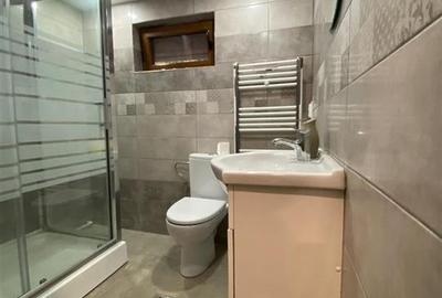 RECO Casa Spatioasa la 7km de Beius - 3