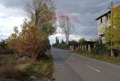 Teren Construcții intravilan de 2056 mp, în Ciolpani - 5