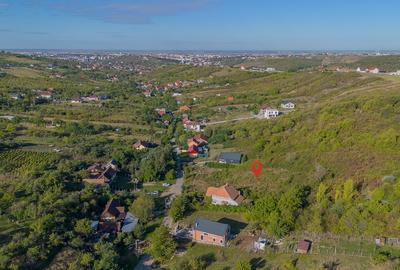 Teren 6.583 mp cu dubla deschidere si utilitati, Calea Adevarului - Oradea - 8