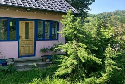 Casă cu 3 camere în Chiojdeni - 8