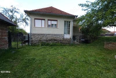 Casă cu 4 camere cu Teren 3030 Mp în Vale - 1
