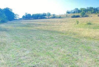 Spațiu comercial, în Brad - 3