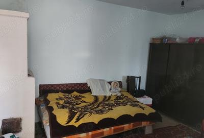 Casa de vanzare, jud. Teleorman - 3