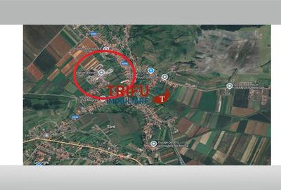 Teren de vanzare Sard 2000mp - 1