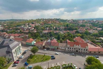 Casa / Vila cu 4 camere de vanzare Ultracentral Str. Louis Pasteur - 28