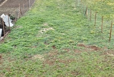 Comision 0% Duplex 3 camere si teren generos - localitatea Cornesti Comision 0% Duplex 3 camere si teren generos - localitatea Cornesti - 14