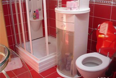 Casă cu 11 camere cu Teren 300 Mp în Bogodinț - 4