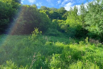 Spațiu comercial, în Central - 2