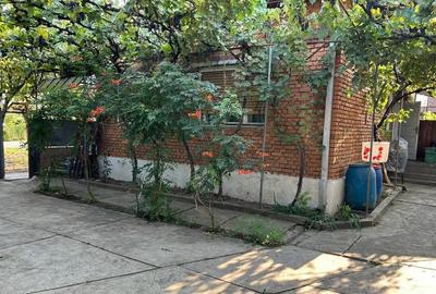 Casă cu 3 camere în Buteni - 4