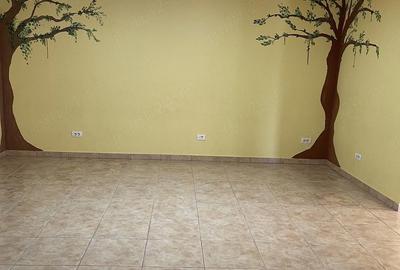 Casă cu 5 camere cu Teren 1500 Mp în Sânnicolau Mic - 20