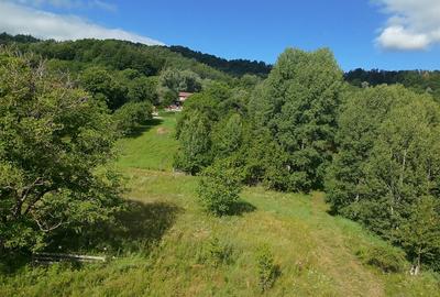 Vila/Pensiune - accept si schimb cu apartament in Bucuresti Vila/Pensiune - accept si schimb cu apartament in Bucuresti - 13