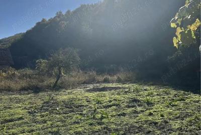 Casă cu Teren 1600 Mp în Romos - 5