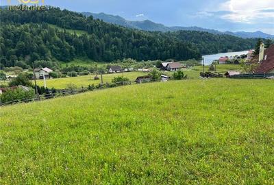 Teren intravilan Colibita cu utilitati 3000 mp - 9