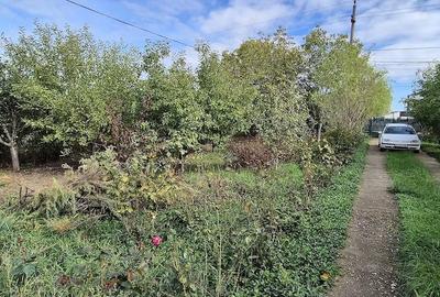 Casă cu Teren 1255 Mp în Crevedia - 4