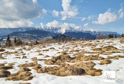Teren De Vanzare In Sirnea - 2