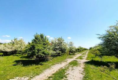 Teren de 1333 mp, în Sânpetru - 9