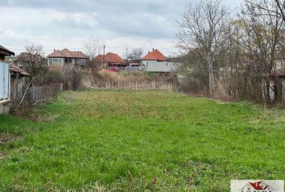 Teren intravilan de vanzare in Craciunelu de Jos - 2
